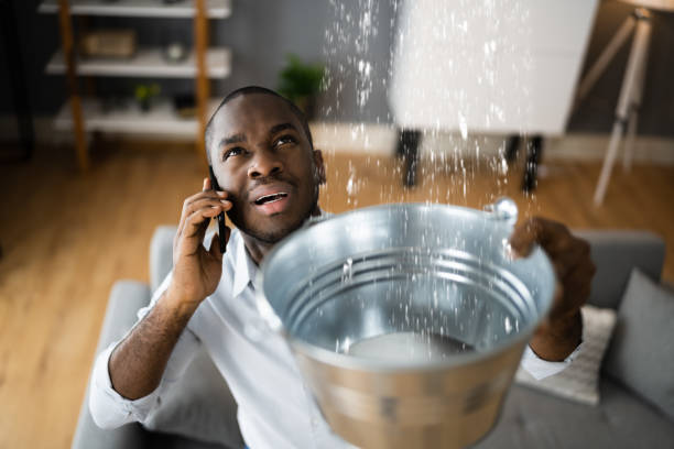 Best Water damage restoration near me  in Roseville, CA