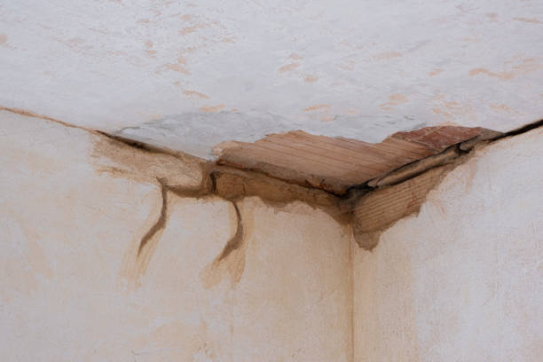 Best Sewage cleanup and water damage restoration  in Roseville, CA