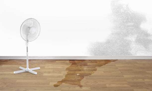 Best Water damage cleanup near me  in Roseville, CA