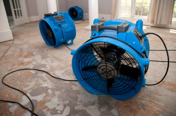 Best Commercial water damage restoration  in Roseville, CA