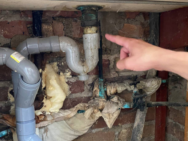 Best Carpet water damage restoration  in Roseville, CA